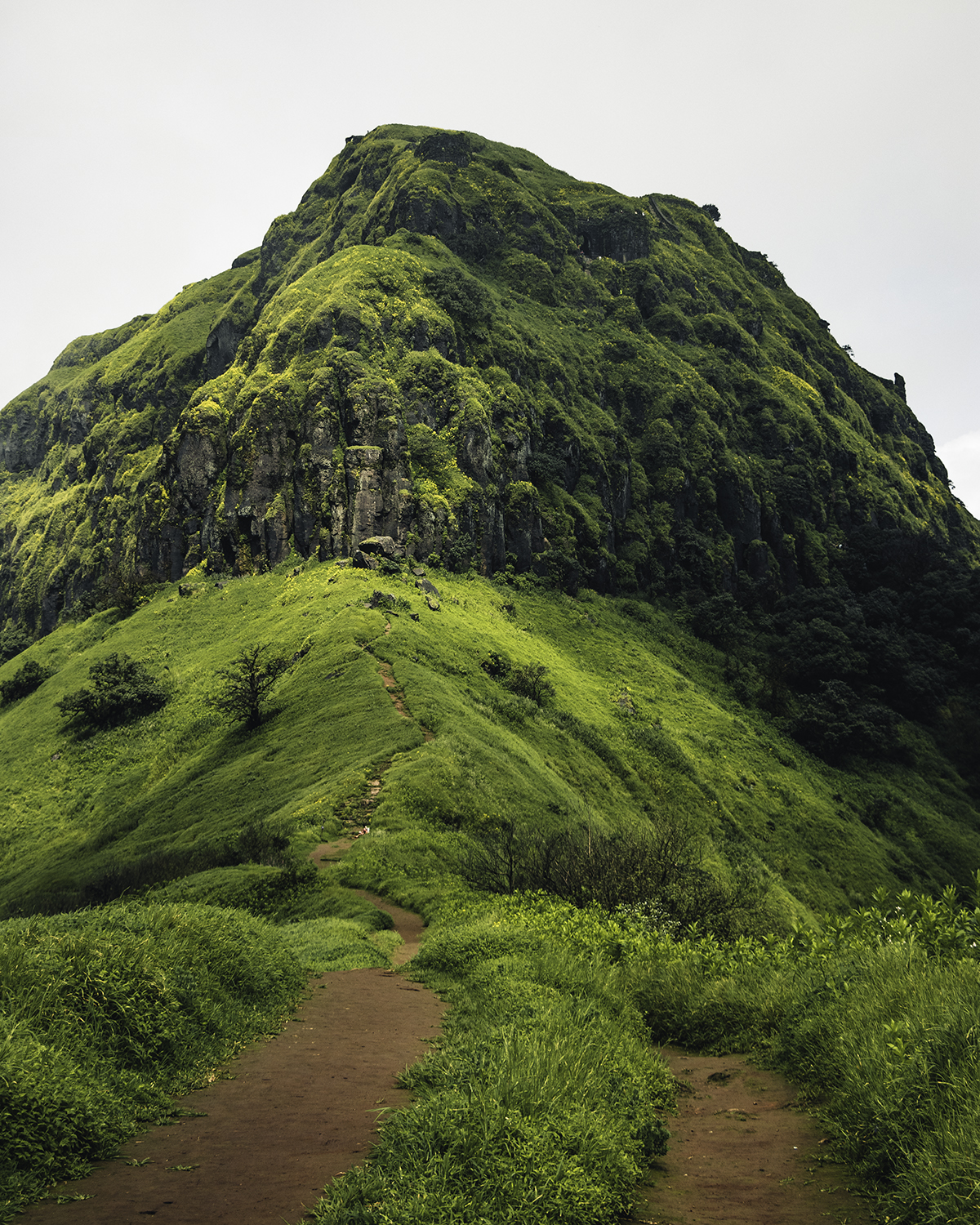 rajgad fort