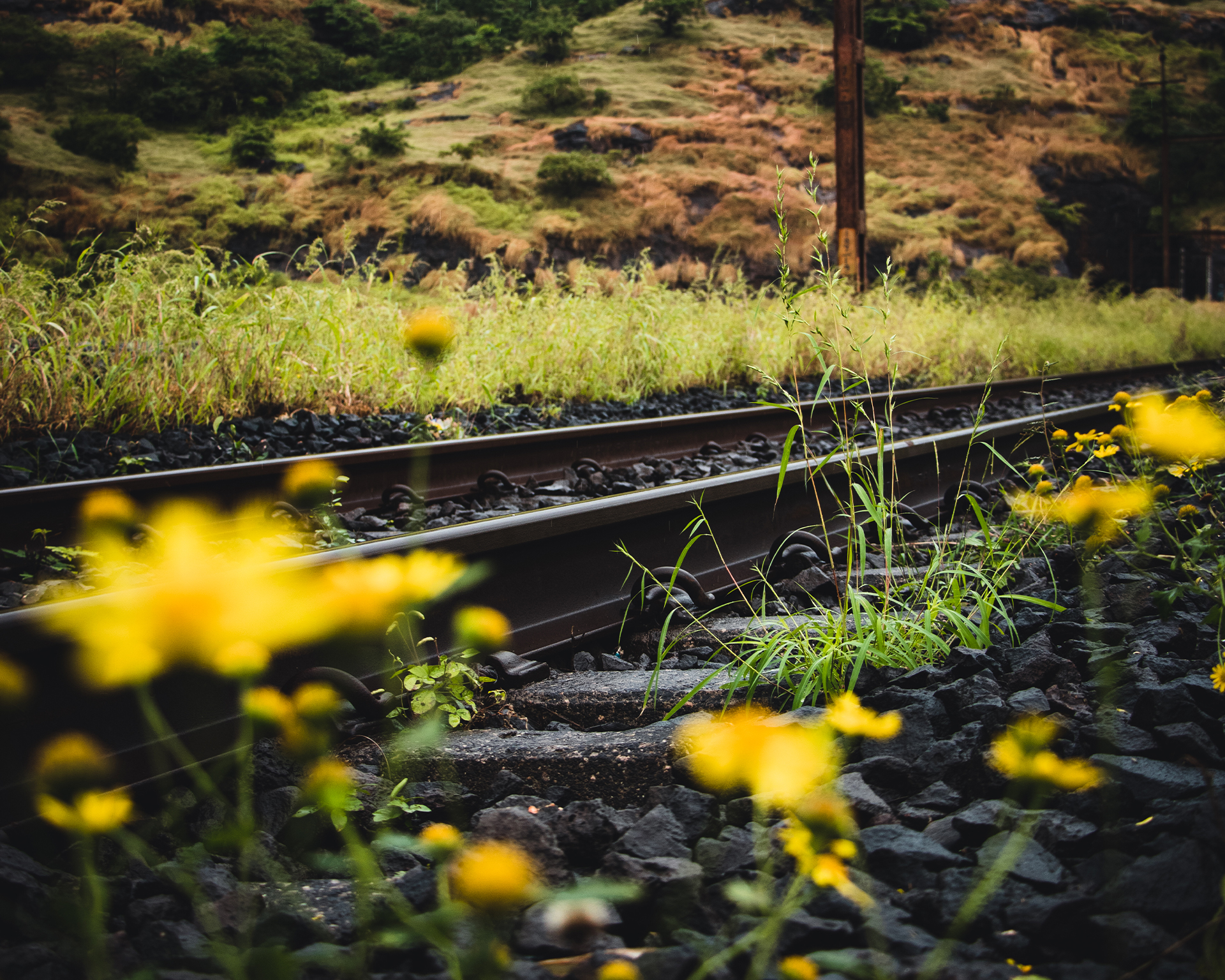 railway tracks